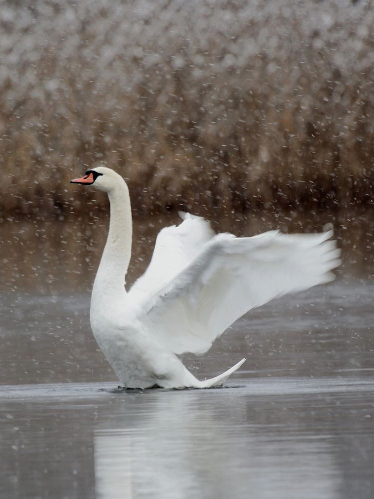 Photograph by Ольга