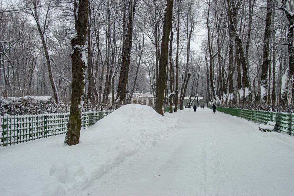 Фотография автора Татьяна
