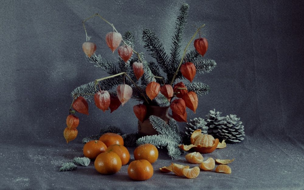 Photograph by Ольга