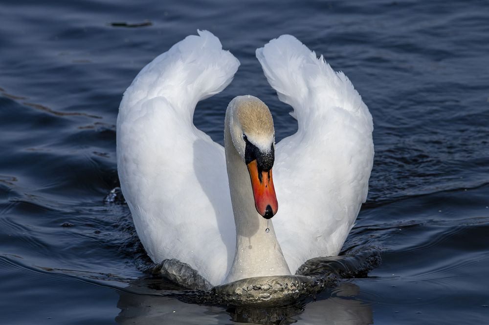 Photograph by Евгений Санин
