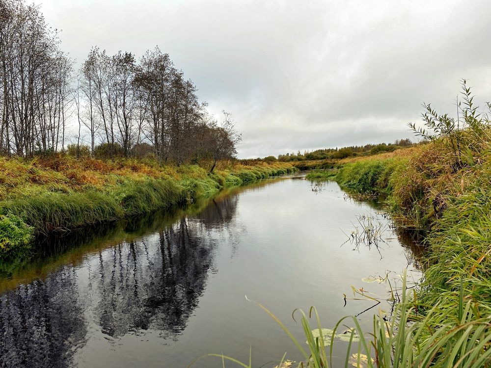 Photograph by Виталий Иванов