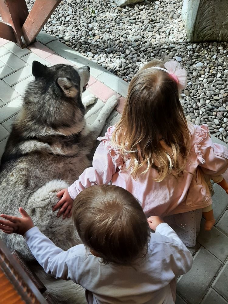 Photograph by amalija radović