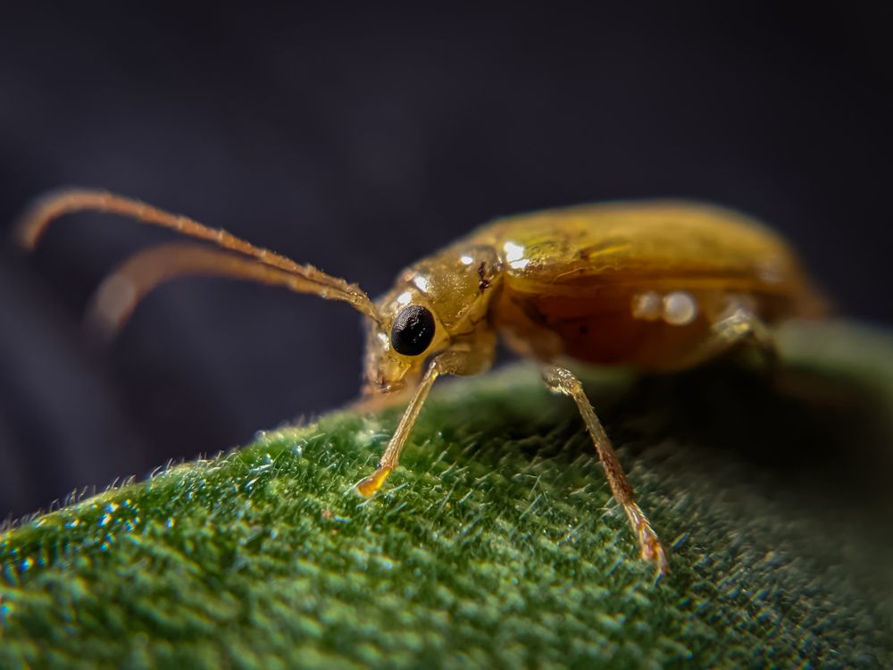 Фотография автора Vijayakumar