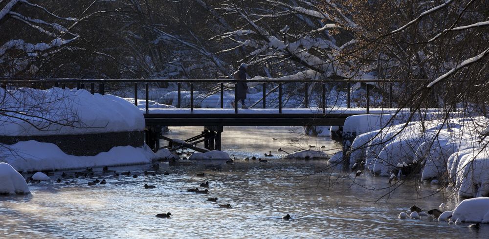 Фотография автора Сергей Щёголев