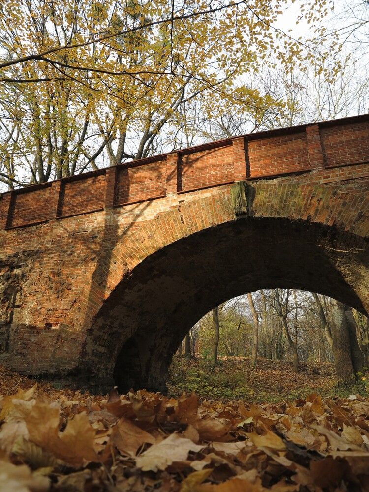 Осень в парке / Jesień w parku / Autumn in the park