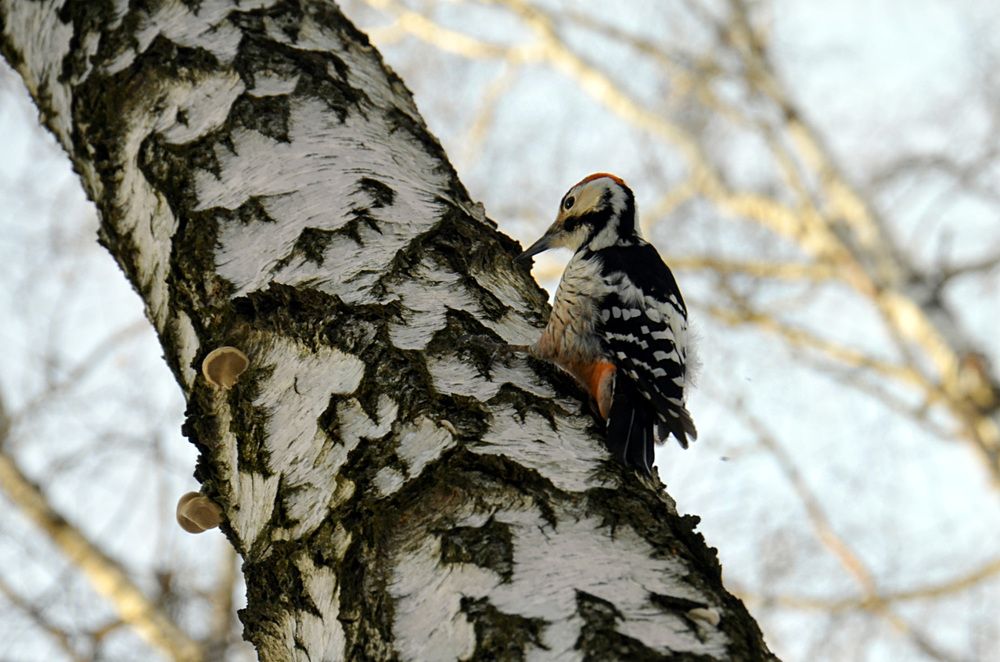 Photograph by Людмила Куприянова