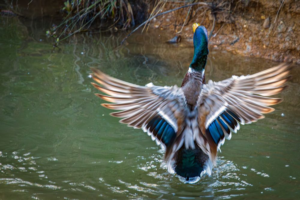 Photograph by Надежда Хрусталёва
