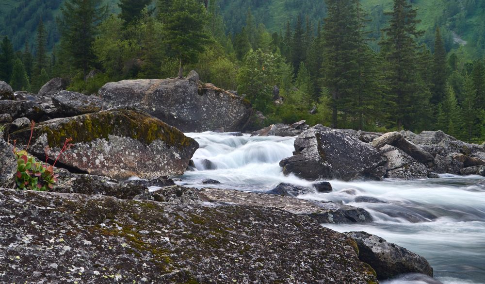 Photograph by Шабалин Игорь