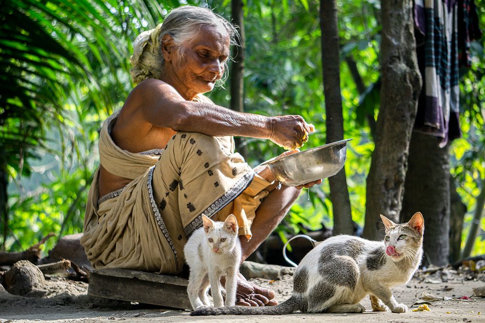 Photograph by Shakibul islam