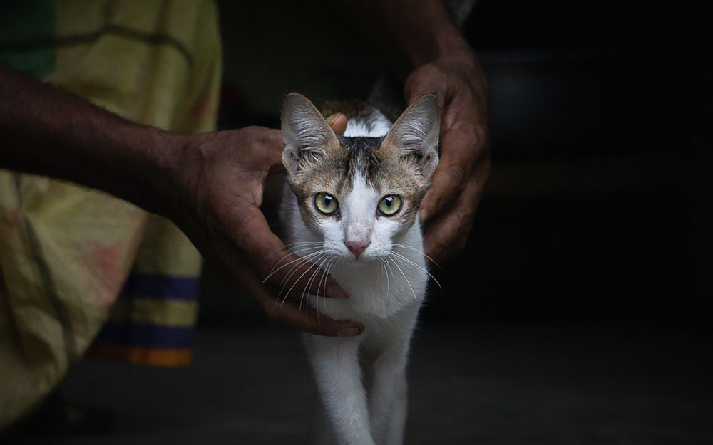 Photograph by Shakibul islam