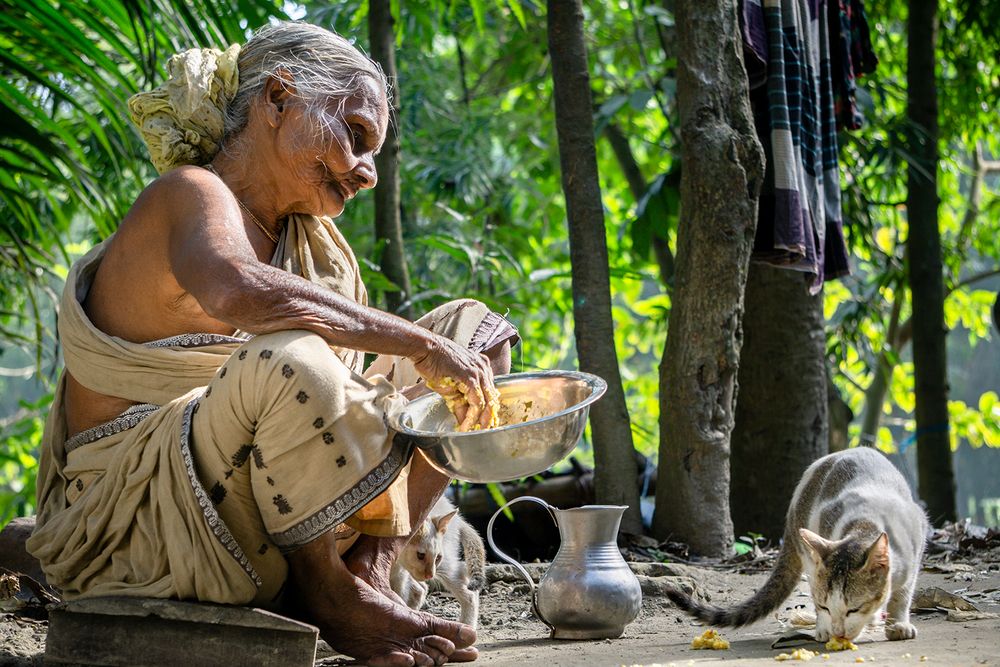 Photograph by Shakibul islam