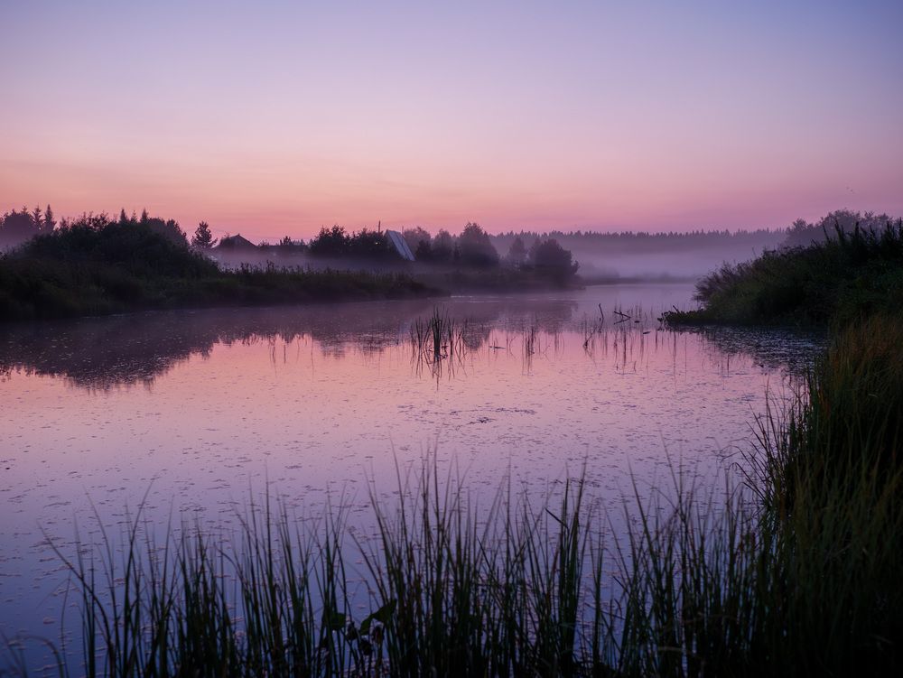 Photograph by Anton Y