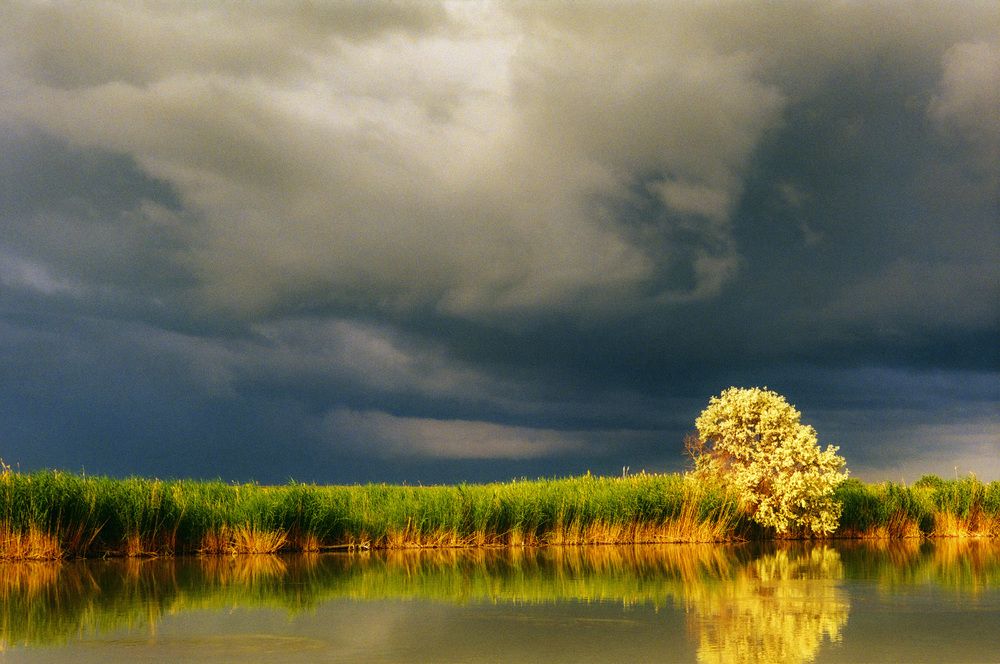 Перед грозой.