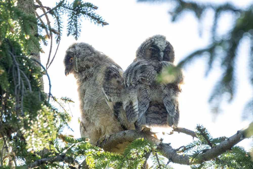 Photograph by Илья Юфа