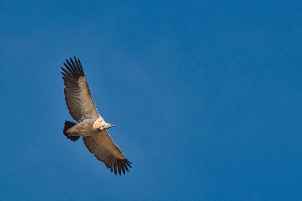 Photograph by Gavin Jones