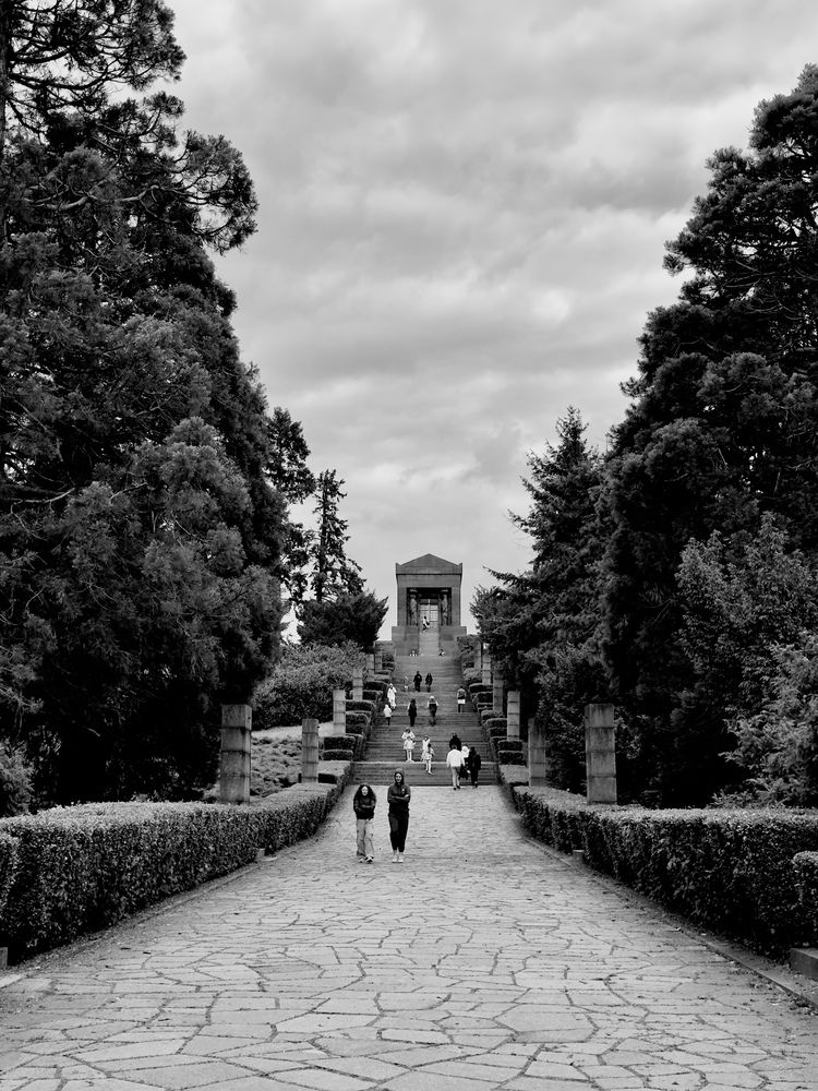 Photograph by Mariia Fedorova