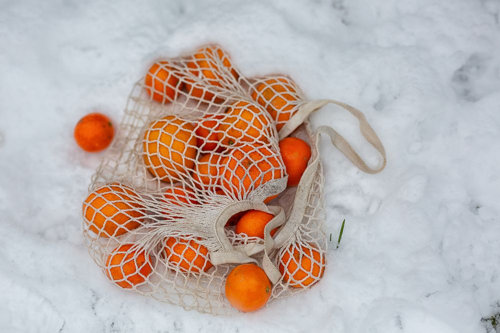 Photograph by Савёлова Екатерина