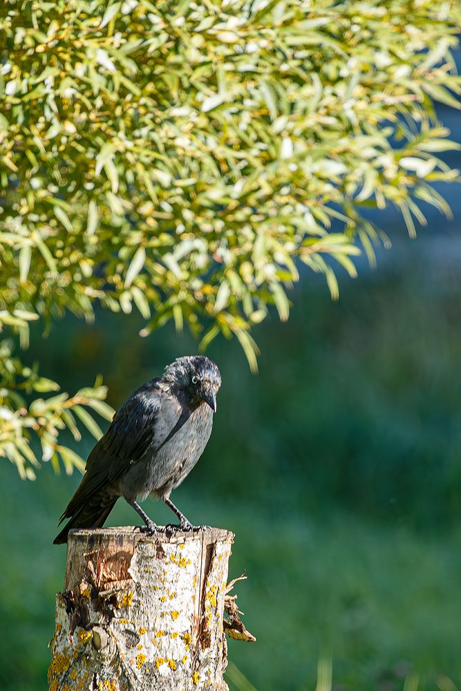 Photograph by Nadezhda Khrustaleva