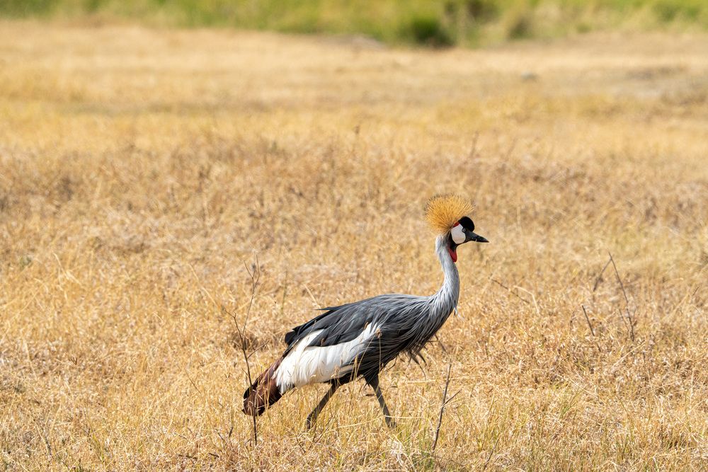 Photograph by Михаил