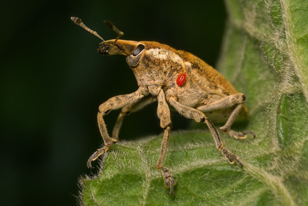 Photograph by Shakibul islam