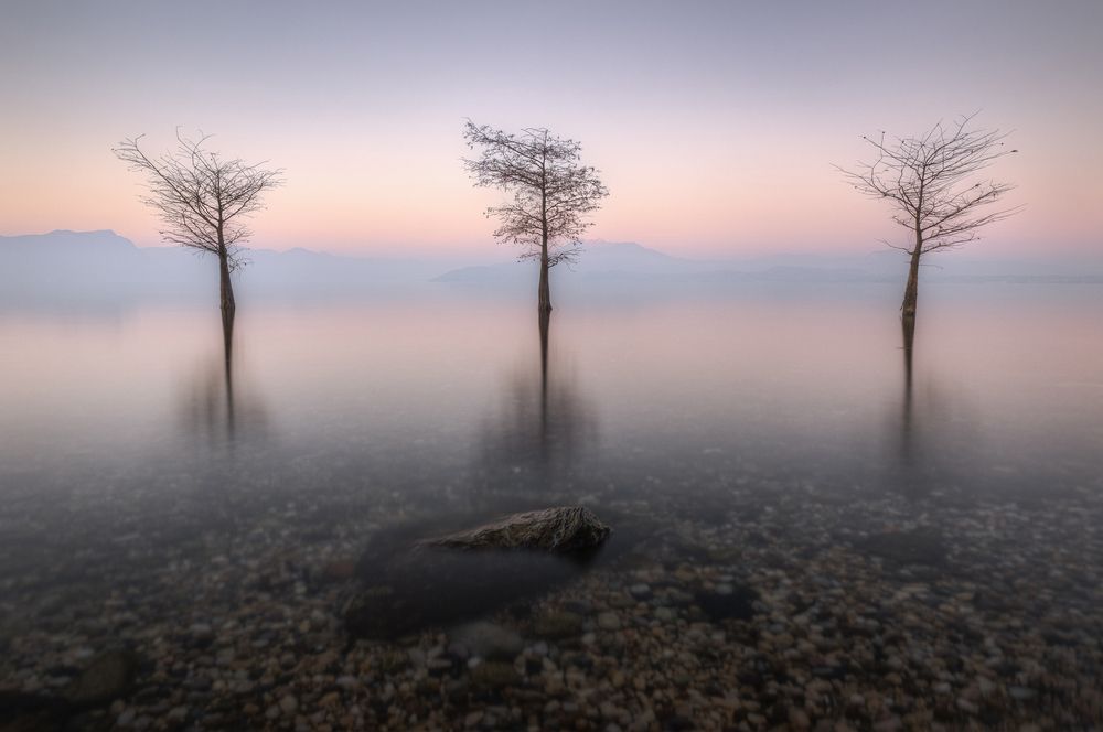 Photograph by Maddalena Elisabetta Veronesi