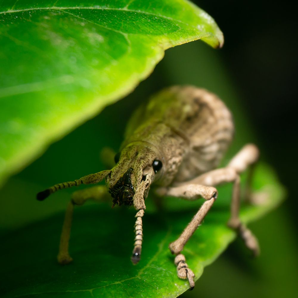 Photograph by Shakibul islam