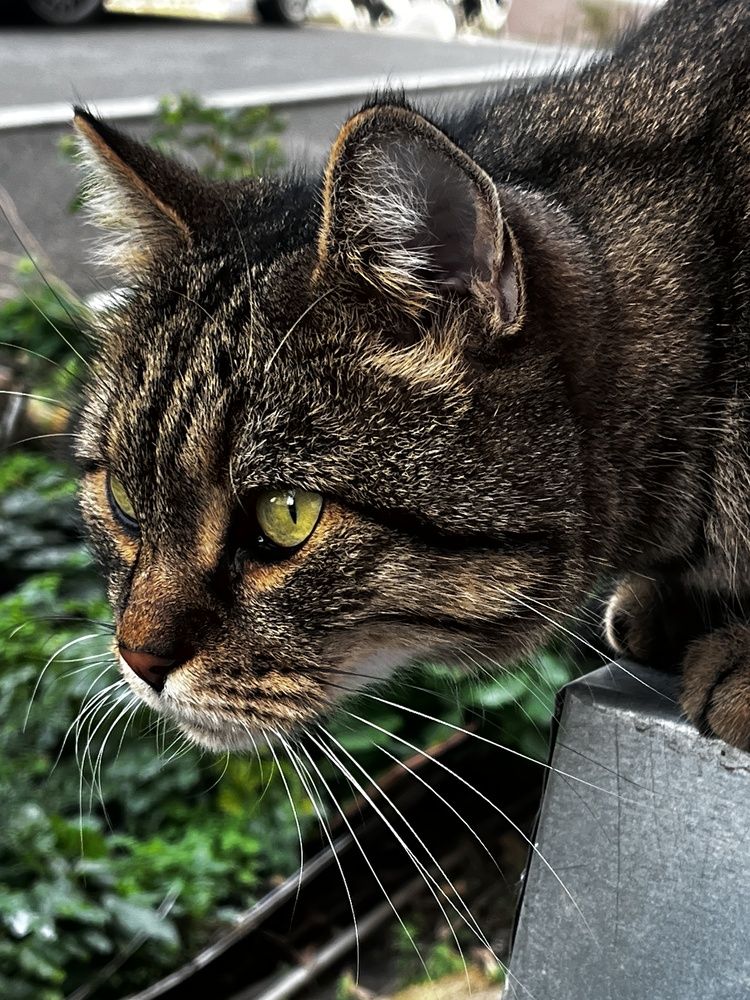 Photograph by Олеся Старицкая