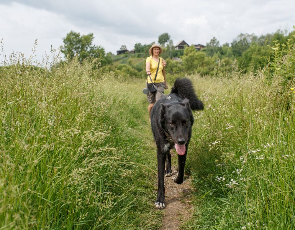 Photograph by Червяков Григорий