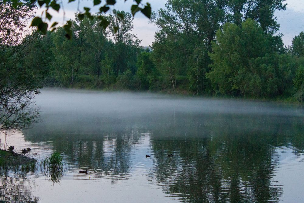 Photograph by Червяков Григорий