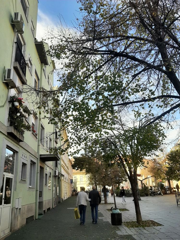Photograph by amalija radović