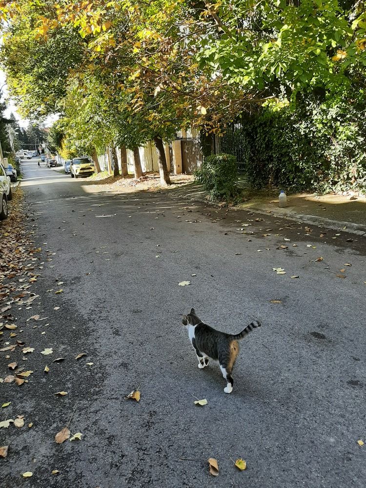 Photograph by amalija radović
