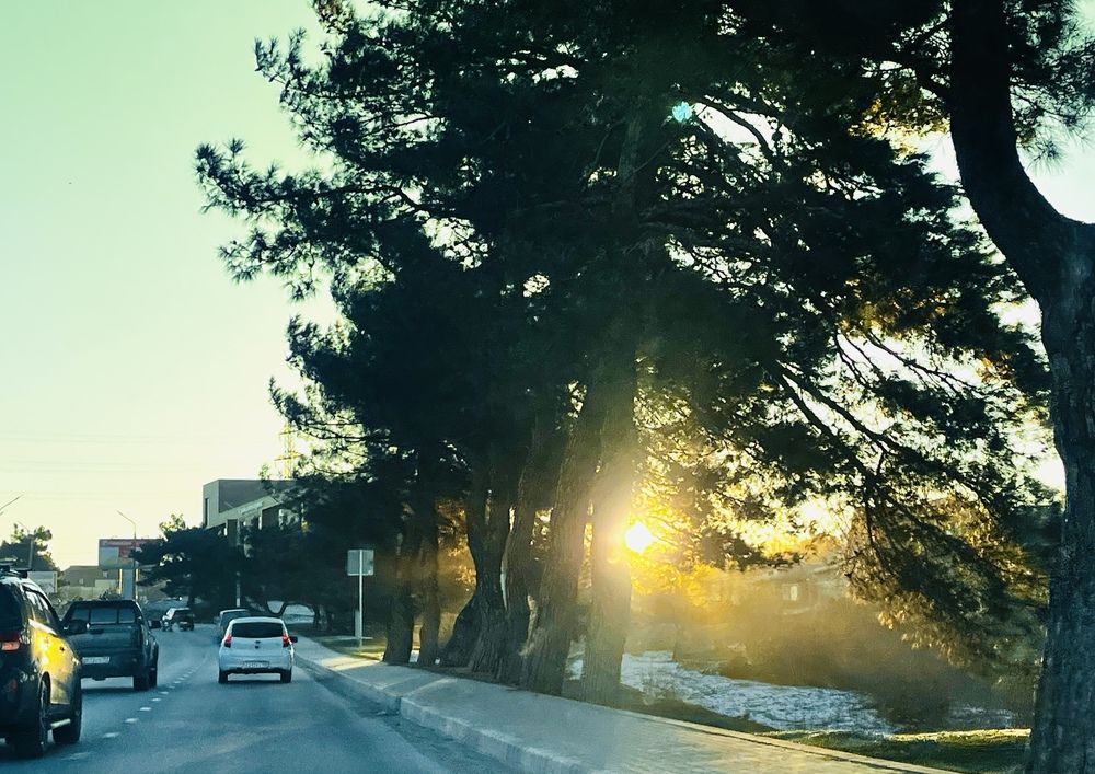 Photograph by Олеся Старицкая