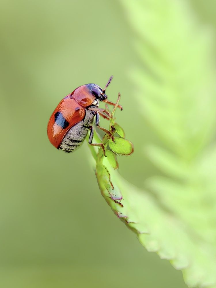 Photograph by Mohd Hasri