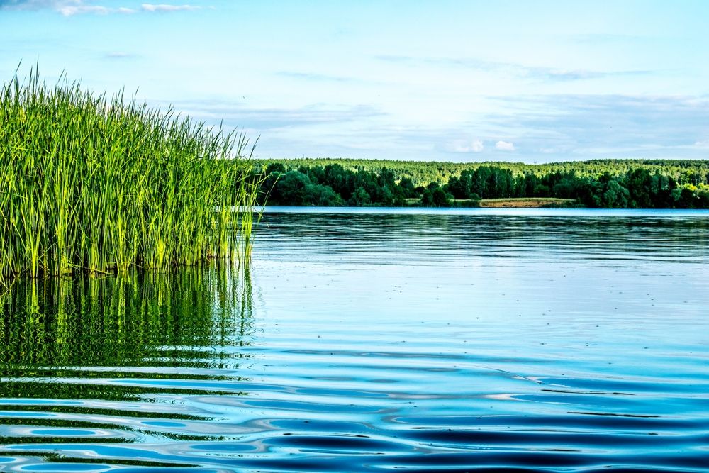 На воде