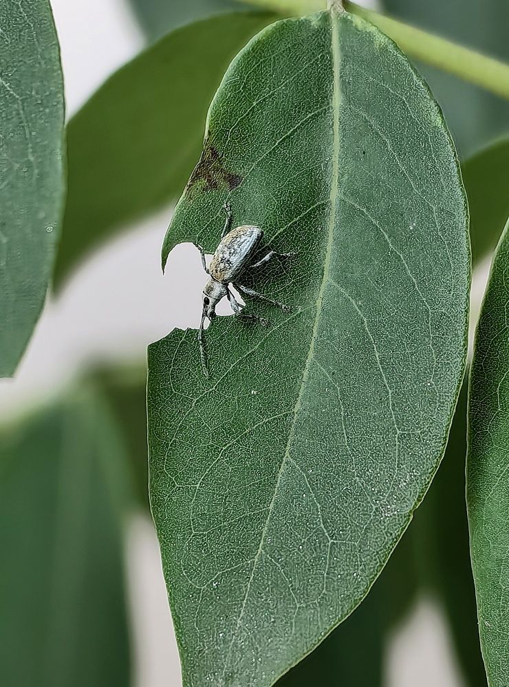 Photograph by Кристина Феминова