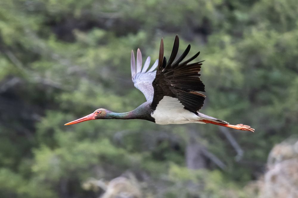 Photograph by Елена Бобаченко