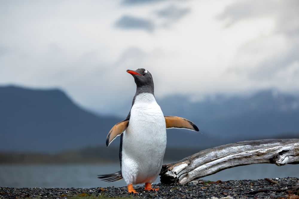 Во всей красе