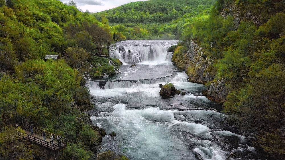 Strbacki buk,BIH