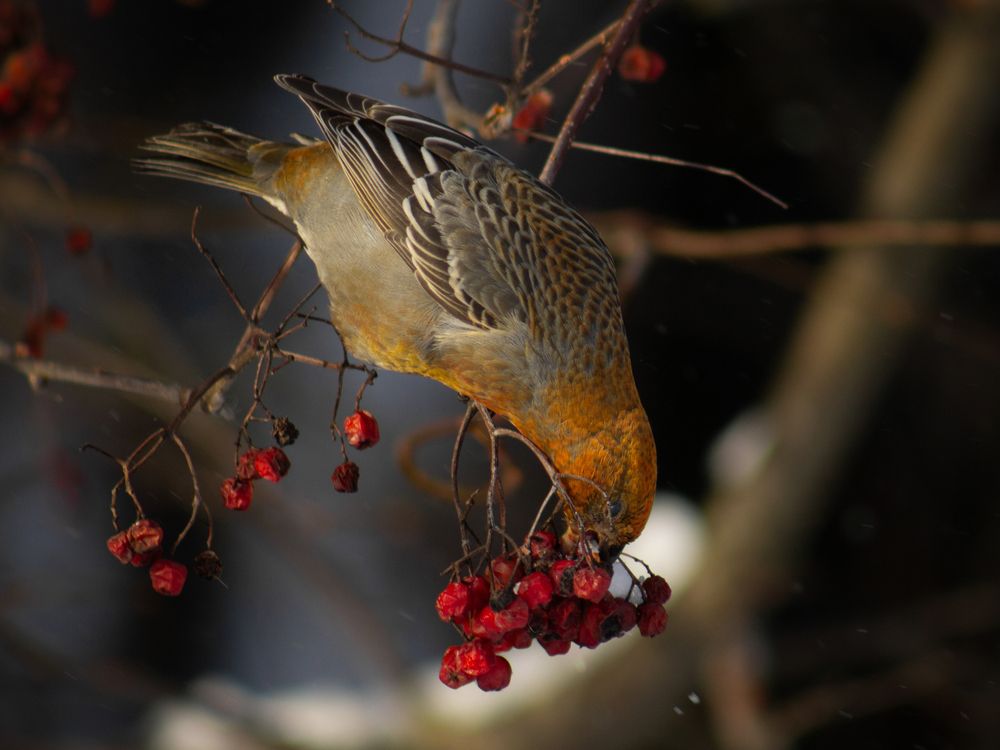 Это всё моё