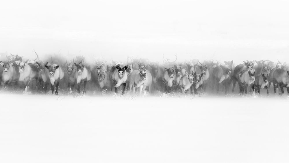 Photograph by Александр Чазов