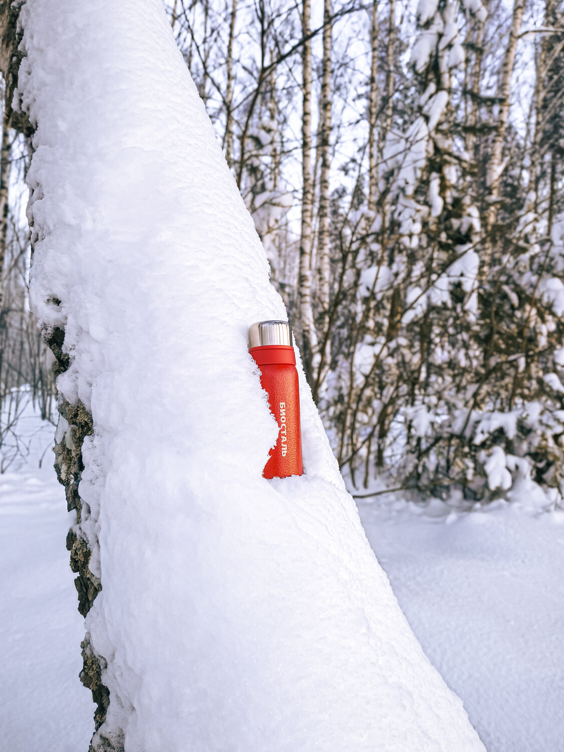 Photo #13257402