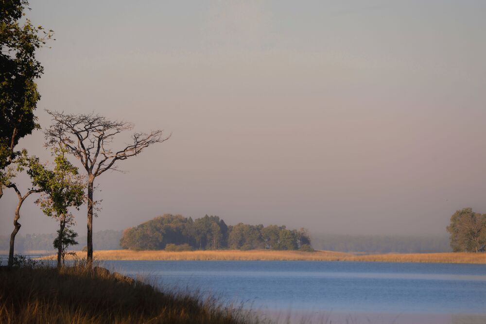 Photograph by mahadevan Arige