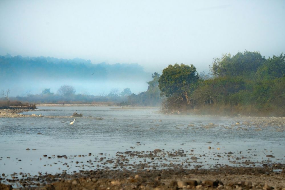 Photograph by mahadevan Arige