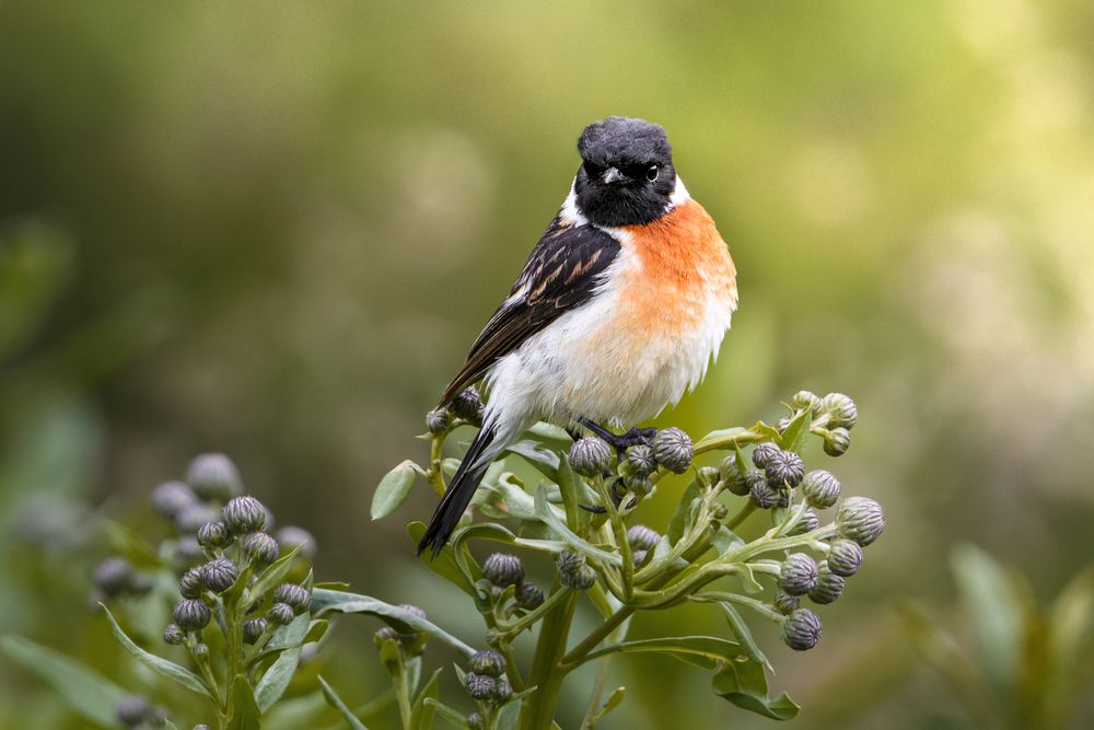 Photograph by Алексей Трубин
