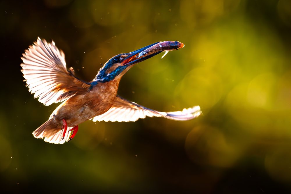 Photograph by Владимир Ежов