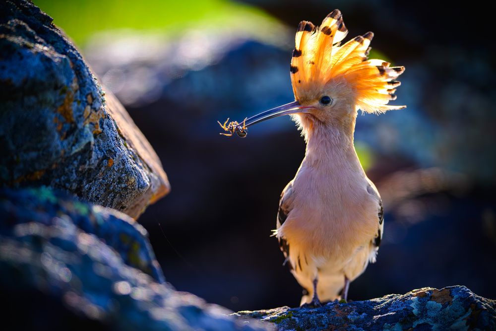 Photograph by Ежов Владимир