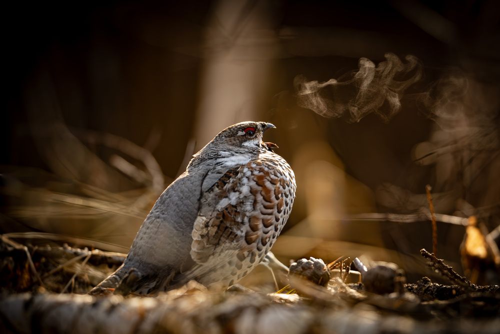 Photograph by Владимир Ежов