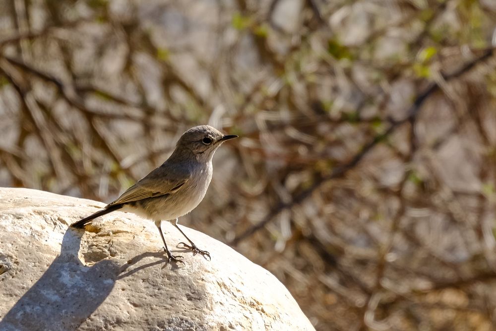 Фотография автора Dmitry