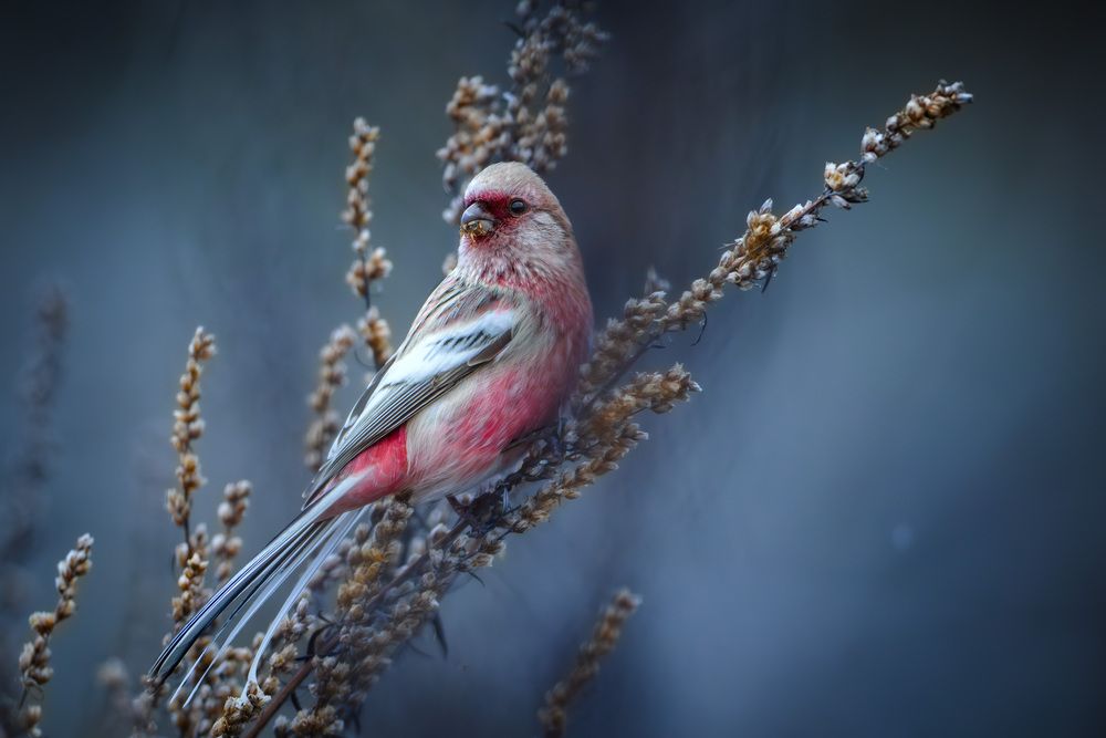 Photograph by Ежов Владимир