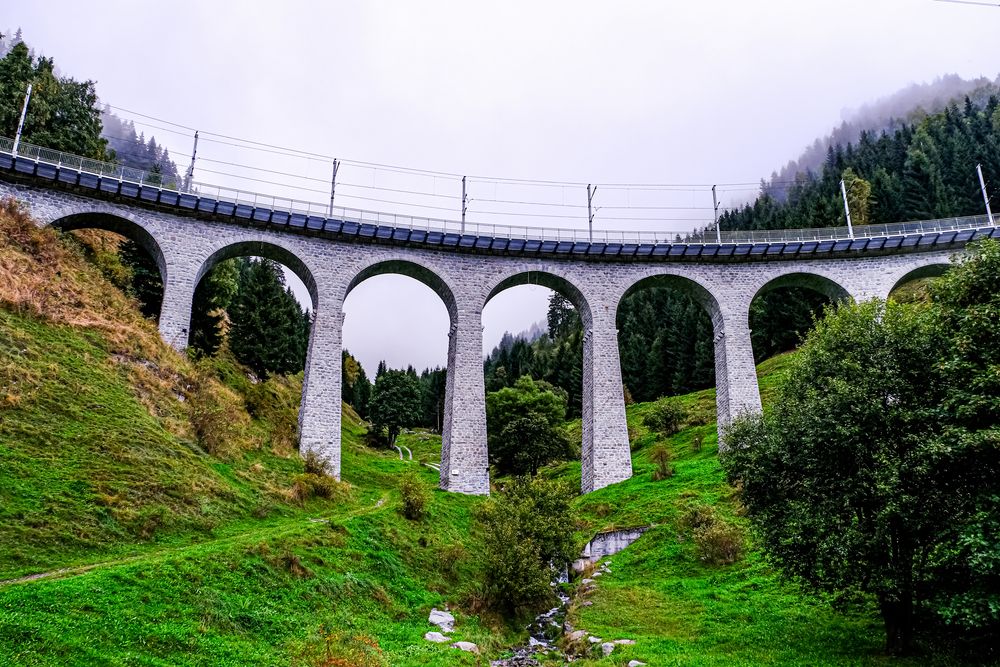 Фотография автора Dmitry